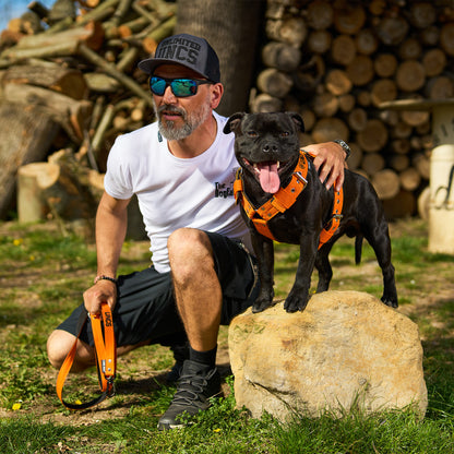 Férfi póló DOGFATHER