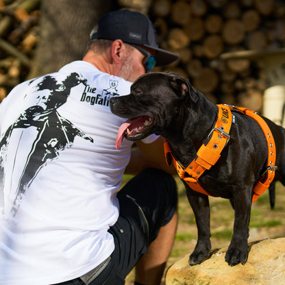 Férfi póló DOGFATHER