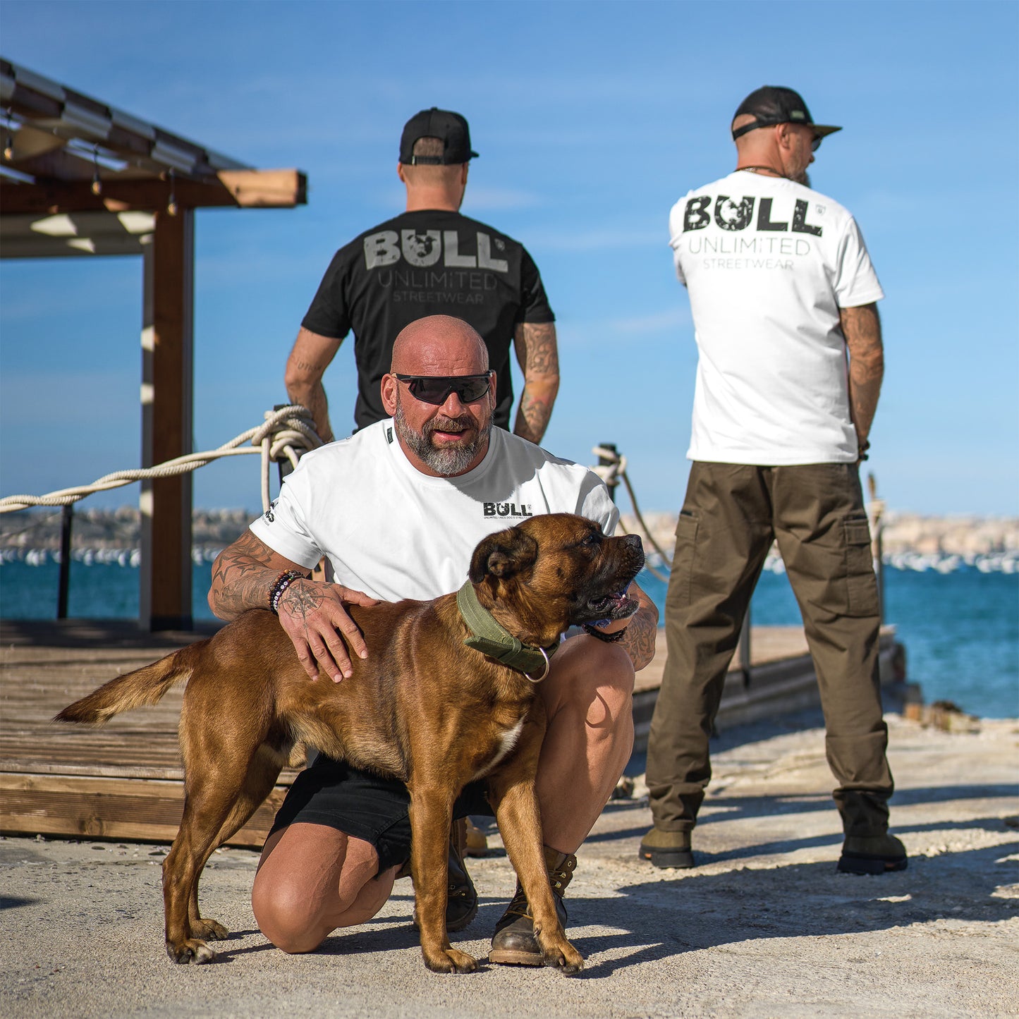 Férfi póló BULL